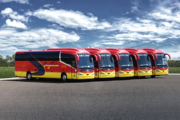 Buses Interprovinciales: 30, 43 y 50 pasajeros